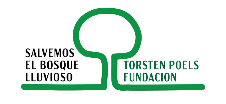 Torsten Poels Fundación