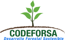 CODEFORSA logo